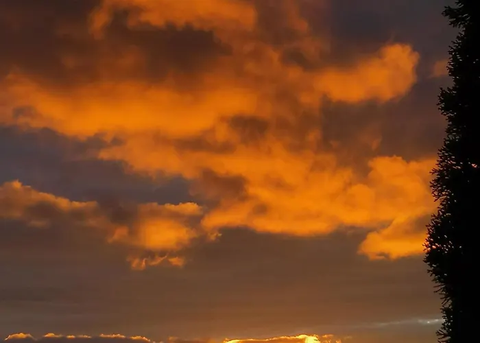 Yancheva 3* Делчево