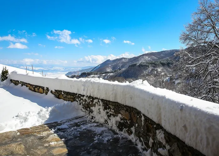 Yancheva Делчево