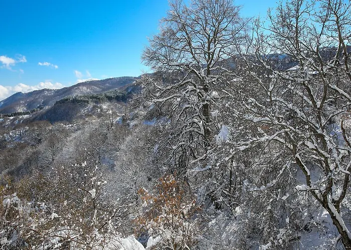 Yancheva Къща за гости Делчево