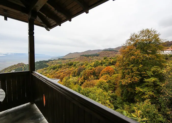 Yancheva 3* Делчево